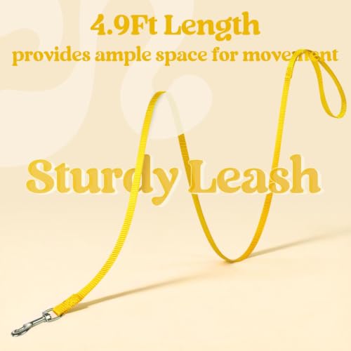 rabbitgoo Cat Harness and Leash Set, Step-in Soft Vest, Bright Yellow | Escape Proof, Lightweight, Easy-on & Adjustable, Hook & Loop with Buckle, Reflective, for Kittens & Small Cats Walks, S - color: Bright Yellow, size: S