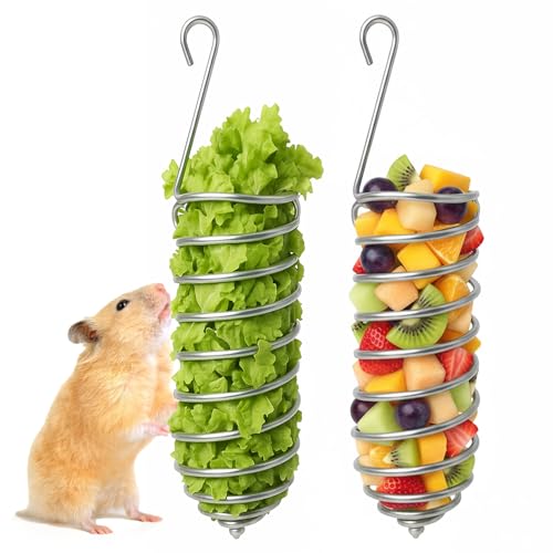 2Pcs Rat Enrichment Toys Bird Food Holder Rat Parrot Foraging Toy | Stainless Steel, Hanging Rodent Toy, Fruit Vegetable Holder, Puzzle Toys, Slow Feeder, Parakeet Foraging