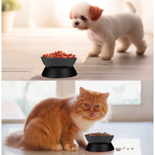 French Bulldog Food Bowl- Slanted Tilted Pug Food Water Bowl,Cat Bowl- Feeder for Frenchie/Shih Tzu/Flat Faced Small Dogs/Puppies/Cats (Black（Ceramic）, 2 Cup) - color: Black Bowl（Ceramic）, size: 2 Cup