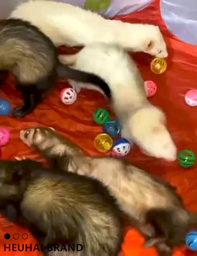 10 Pack Hollow Plastic Play Balls, Assorted Shapes for Ferrets | Multi Style Hollow Plastic Balls, Built In Small Bells, Smooth Pp Plastic Material, Mixed 1.5–2.7 Inch Sizes - size: 1.5'' - 2.7''