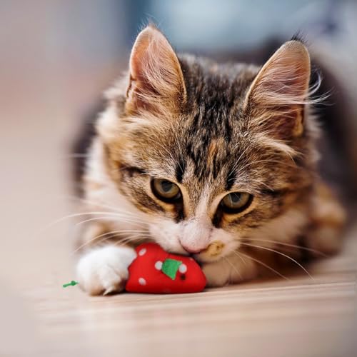 Andiker 5 Pcs Cat Mouse Toys, Soft Cat Plush Toy with Fruit Pattern Interactive Cat Toys for Indoor Cats and Kittens to Bite Chew Scratch
