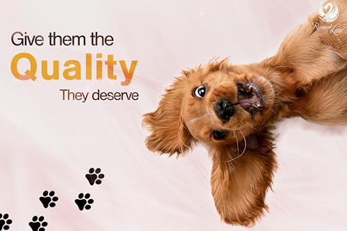 6.5" Ceramic Dog Bowl Pet Feeding Bowl 20oz (Cream/White, 6.5 / Large) - color: Cream / White