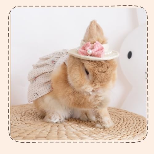 Rabbit Harness and Leash with Lovely Hat - Bunny Harness Escape Proof for Walking Running Hiking Camping Outdoor - Cute Small Animal Harness Leash Set (Medium) - size: Medium