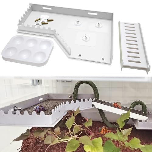 Hermit Crab Accessories - Platform with Ladder and Food Dish, Hermit Crab Climbing Toys, Habitat Supplies and Tank Accessories for Reptiles, Hamsters, Geckos, Small Lizards - color: White