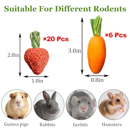 Hamiledyi Hamster Chew Toys Rabbit Chew Toys for Teeth Guinea Pig Treats Enrichment Habitat Decor for Bunny Chinchilla Gerbil Rat (26 Pcs) - size: 26 Pcs