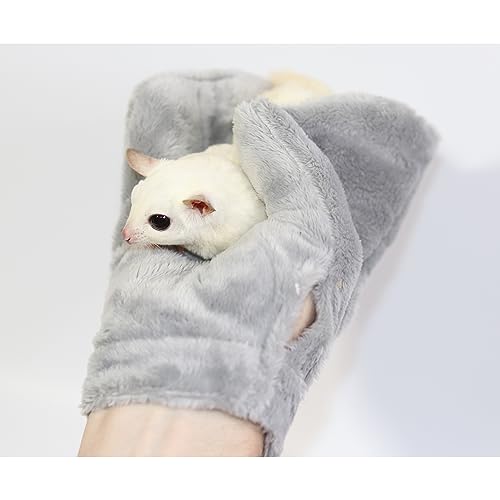 Exotic Nutrition Calming Glove - Comfy Bonding Mitt for Sugar Gliders, Hedgehogs, Rats, Hamsters, & Other Small Pets - size: 1 Pack