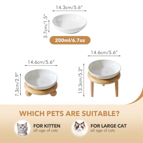 Havniva Elevated Cat Bowls, Cat Food and Water Bowl Set, Ceramic Cat Bowl | Raised Cat Food Bowls, Whisker Friendly, 5.6” Shallow Cat Dishes, Wide Cat Plates, Non-Slip Wood Stand, Two Heights - color: White, size: 1 Bowl