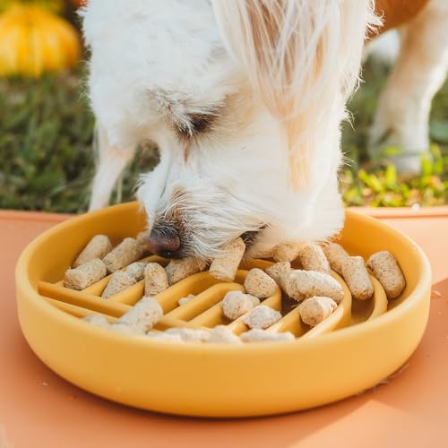 Slow Feeder Dog Bowls - Small Size Silicone Slow Eating Dog Bowl for Puppies & Dogs with Suction Cup -Dishwasher-Safe, Lick Mat Design, Reduces Gulping, for All Breeds, 6”x1.25”- Honey - color: Honey - Rainbow Design, size: Small (6” Across x 1.25” Tall)