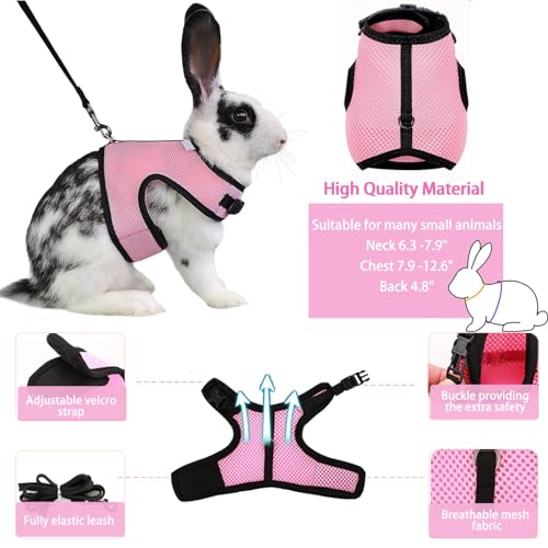 Rabbit Carrier Small Pet Carrier with Bunny Harness and Leash | Large Bunny Carrier Clear Bubble Window Small Animal Carrier for Guinea Pig Ferret Hedgehog Squirrel Kitten Travel Walking - color: Rabbit Carrier Backpack