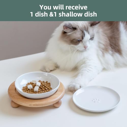 Havniva Elevated Cat Bowls, Cat Food and Water Bowl Set, Ceramic Cat Bowl | Raised Cat Food Bowls, Whisker Friendly, 5.6” Shallow Cat Dishes + 6” Wide Cat Plates, Non-Slip Wood Stand, Two Heights - color: White, size: 1 Bowl+1 Dish