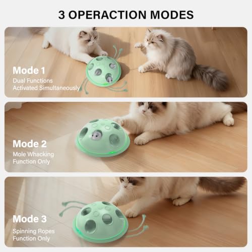 Pawingcat Cat Toys for Bored Indoor Cats Interactive String and Mouse | Hide and Seek,Cat Puzzle Toy,Automatic String,Running Plush Mouse,Cat Gifts