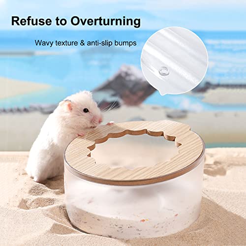 Hamster Sand Bath Box, Small Animal Bathroom & Digging Room, Easy to Clean, for Dwarf & Syrian Hamster, Gerbil - color: Transparent