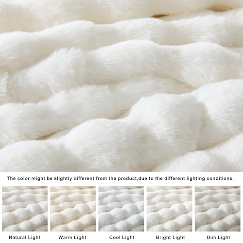 WDCOZY Luxury Ivory Bubble Throw Blanket, Cream White Faux Fur Mink Plush Throw for Couch, Sofa and Bed, Soft Fluffy Fuzzy Furry Cozy Blanket, Thick and Warm, 60x80 inches - color: Solid - Ivory, size: Twin (60" x 80")