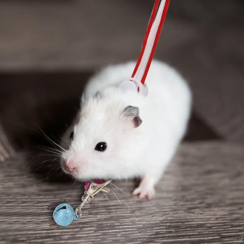 Hypeety Syrian Hamster Leash Harness Set Adjustable Training Walking Lead | Adjustable 0.79-3.54'' chest, 55.12'' lengh, soft nylon leash with finder bells, for rat/gerbil, easy to put on, random color - color: Rope Random 55.12"
