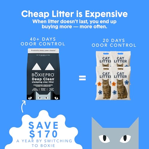 Boxie Probiotic Clumping Cat Litter 40+ Day Odor Control Dust Free 40 lb - size: 40 lb