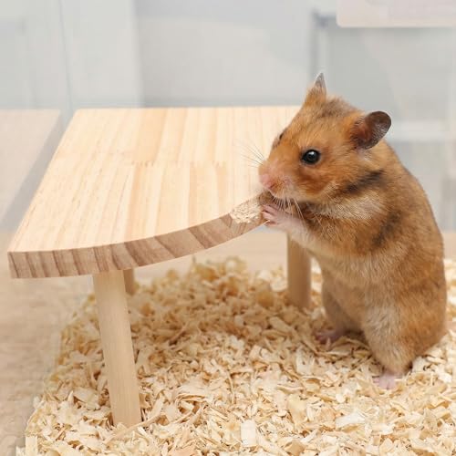 NOLITOY Hamster Platform Fan Shaped Wooden Cage Accessory Space-Saving Small Pet Climbing and Resting Stand Multi-Use Hamster Cage Platform for Hamsters Gerbils and Small Animals