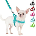 SlowTon No Pull Small Dog Harness and Leash Set with Front Clip | Soft Padded, Neck & Chest Adjustable, Lightweight, Anti-Twist, Puppy Vest Harness Pet Lead Combo for Small Medium Dog, TL XXS - color: Teal, size: XX-Small