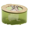 Hamster Sand Bath Box, Transparent & Detachable Small Animal Sand Container, Anti-Spill Sandbox for Hamsters Gerbils Mice Lemming - color: Green transparent