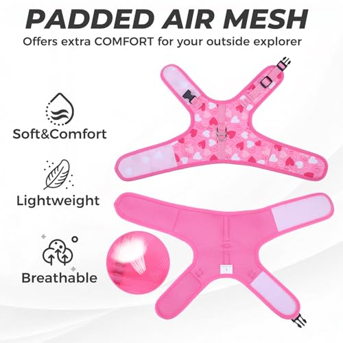 BINGPET Cat Harness and Leash Set, Escape Proof and Adjustable, Large | Step-in Vest, Lightweight Soft Breathable Mesh, Hook & Loop, Easy Control for Medium & Large Cats Walking Travel - color: Heart, size: Large
