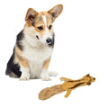 SPOT Skinneeez Flying Squirrel 14 Inch Stuffing-Free Plush Squeaky Dog Toy – Soft Tug-of-War Toy for Small and Medium Dogs – Mess-Free Interactive Chew Toy for Moderate Chewers - style: Mini Flying Squirrel