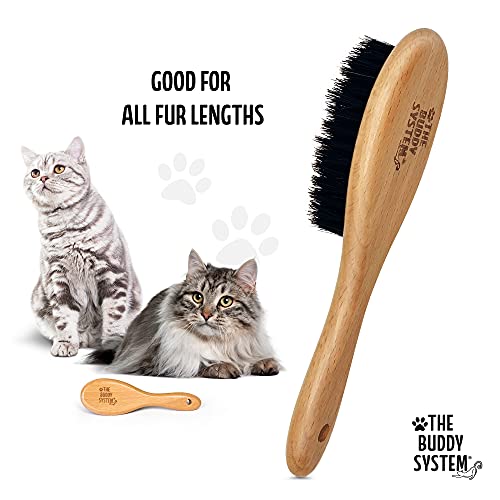 The Buddy System - Soft Cat Brush with Boar Bristles, 1 Pack | Cat brush with wooden handle, daily grooming pet brush, reduce shedding and gives coat a healthy shine - boar bristles