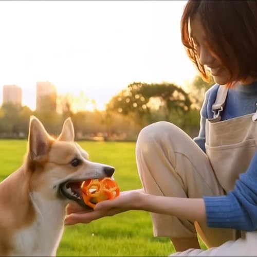 2PCS pet Bell Ball Toy,Suitable for Dogs, Cats, and Other Animals. Safe and Durable, bite-Resistant Design, Interactive Toy, Promotes Activity, an Essential Daily Plaything for Pets. - color: Orange
