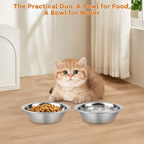 ZUFECY 2-Pack Cat Bowls, 5.5'' Stainless Steel Cat Bowl, Pet Food & Water Dishes, Non-Tip and Easy Clean Kitten Bowls for Small Cats, Indoor/Outdoor Use