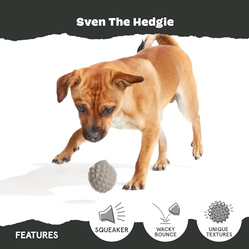 BarkBox Sven the Hedgie Rubber Dog Toy - Toy for Small Dogs | Squeaky Natural Rubber Chew Toy with Soft Spike Textures | Durable - color: Sven the Hedgie - Small