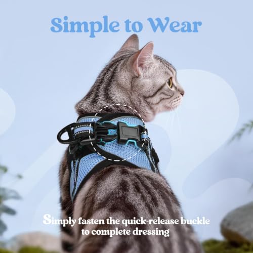 rabbitgoo Cat Harness and Leash Set, Step-in Soft Vest, Light Blue | Escape Proof, Lightweight, Easy-on & Adjustable, Hook & Loop with Buckle, Reflective, for Kittens & Small Cats Walks, S - color: Light Blue, size: S