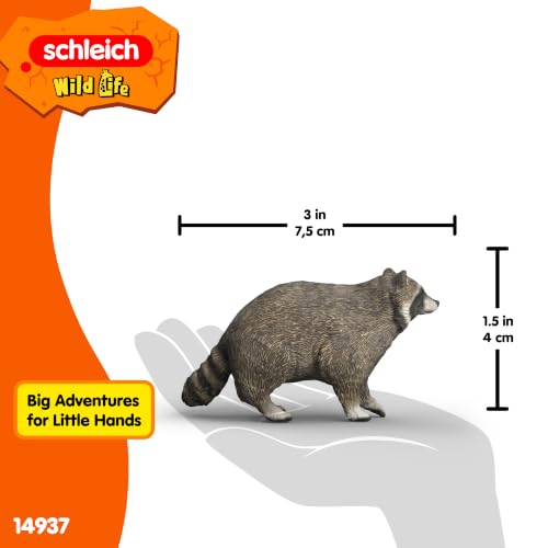 Schleich Wild Life - Raccoon Figurine - Realistic Forest Wildlife Animal Figurine for Boys and Girls - Imaginative Play Animal Toys for Kids Ages 3+ | 14937 | Wild Animal Figurine, Realistic Animal Toys, Safari Toy for Boys and Girls, Screen-Free Imaginat