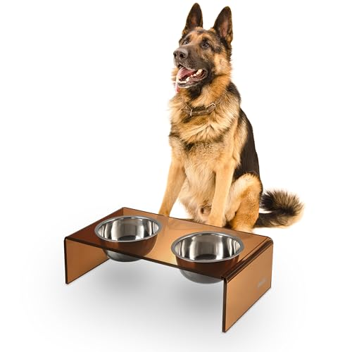 DBL2001D Keaton 7.5" Medium/Large Modern Acrylic Rectangular Elevated Pet Feeder with 54oz 2-Stainless Steel Bowls, Amber/Chrome - color: Amber/Chrome, size: 54 Ounces (7.5" Cups 2-Pack)