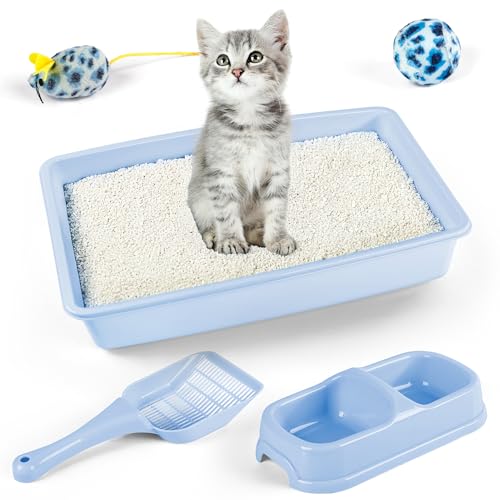 PAWISE Newborn Kitty Litter Box Set 5-Pieces - Shallow Cat Litter Pan, Cat Litter Scooper, Feeding Bowls, Kitten Starter Kit Mouse Toy, 14.5x10.5 Inches, Blue - color: Blue