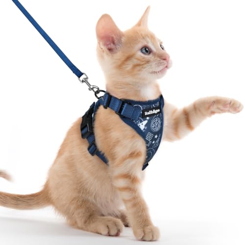rabbitgoo Cat Harness and Leash Set, Escape Proof Vest, Cosmic Ace | Soft Breathable Mesh, Easy Adjustable Fit, Snap Buckles, Sturdy Clip, Reflective Strips, for Kittens & Small Cats Walks, Xxs - color: Cosmic Ace, size: Xxs