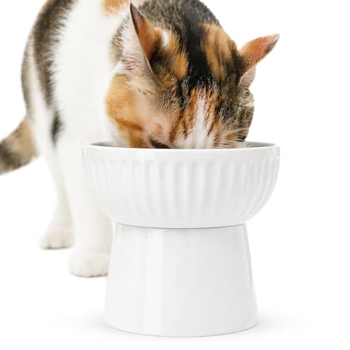 SunGrow Ceramic Cat Bowl with Stand, Suitable Eating Height for Pets, Raised Food Bowl, Mealtime for Your Cats, Stoneware Feeding Station