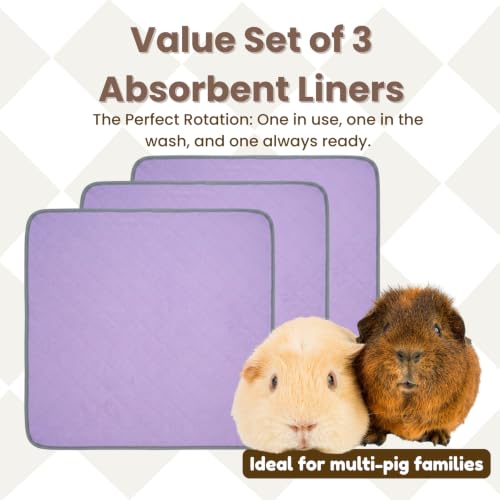 Guinea Pig Pad 12" x 12" 3 Pack, Washable Fleece Cage Liner, Purple | Soft fleece surface. 4-layer absorbent protection. Waterproof TPU & anti-slip bottom. Washable and reusable for guinea pigs. - color: Purple-12×12 inch（3-pack）
