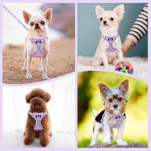 Lukovee Puppy Harness and Leash Set, No Pull Step in Lightweight Mesh Vest | Soft, Reflective, Easy Put on and off, Adjustable, Breathable Air Mesh, with 51in Leash for Walking Hiking (Pink, XS) - color: Pink, size: X-Small (4.5-11 lb)