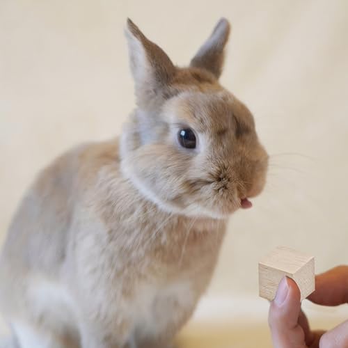 Fruit-Infused Balsa Wood Chew Toys, 16PCS Strawberry Orange and Pitaya Molar Blocks for Rabbits, Guinea Pigs and Chinchillas, 1.6 Inch Large Natural Small Animal Teeth Grinding Treats
