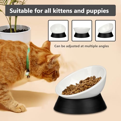 French Bulldog Food Bowl- Slanted Tilted Pug Food Water Bowl,Cat Bowl- Feeder for Frenchie/Shih Tzu/Flat Faced Small Dogs/Puppies/Cats (White（Ceramic）, 2 Cup) - color: White Bowl（Ceramic）, size: 2 Cup