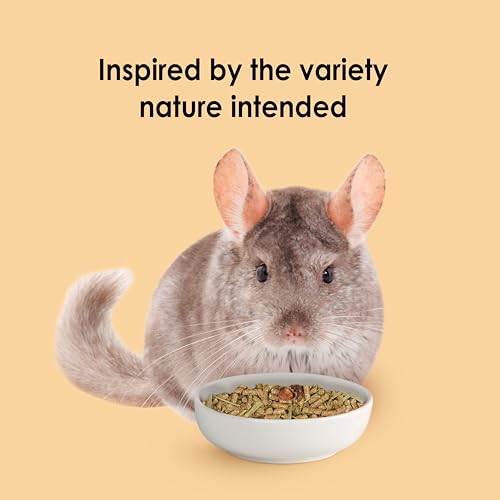 Kaytee Food from the Wild Chinchilla (Chinchilla Food), 3 Pounds | Pet food for gut health. High-fiber pellets. Timothy hay, natural probiotics, no added sugar - size: 3 Pound (Pack of 1)