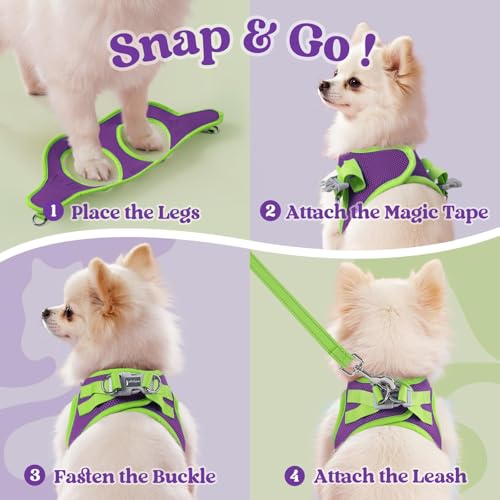 rabbitgoo Dog Harness Small Sized and Leash Set, Step in Soft Vest | Breathable Mesh, Easy Wear with Hook & Loop, Light and Reflective for Walking, Multi-colored, Purple & Green, XXS - color: Purple & Green, size: XXS (Chest: 12.4"-14.2")