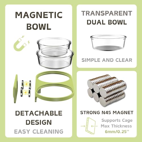 Magnetic Hamsters Feeding Set Freestanding Water Bottle Food Bowl for Glass Tanks, Suitable for Syrian Dwarf Hamsters Gerbils Mice Rats Degus (Green, Magnetic-Mounted) - color: Green