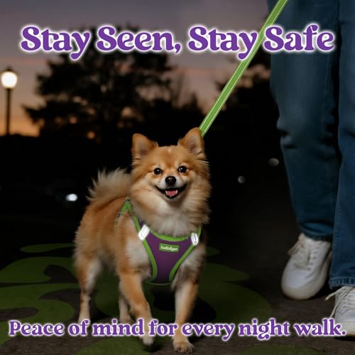 rabbitgoo Dog Harness Small Sized and Leash Set, Step in Soft Vest | Breathable Mesh, Easy Wear with Hook & Loop, Light and Reflective for Walking, Multi-colored, Purple & Green, XXS - color: Purple & Green, size: XXS (Chest: 12.4"-14.2")