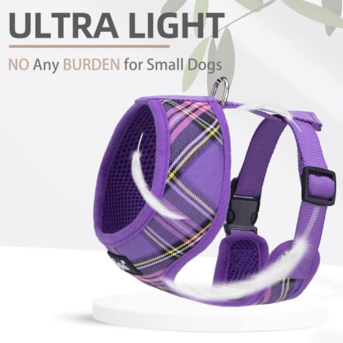 PUPTECK Soft Mesh Dog Harness and Leash Set Pet Puppy Cat Comfort Padded Vest No Pull Harnesses, Purple, S - color: Purple, size: S (NECK: 12", CHEST: 14"-18")
