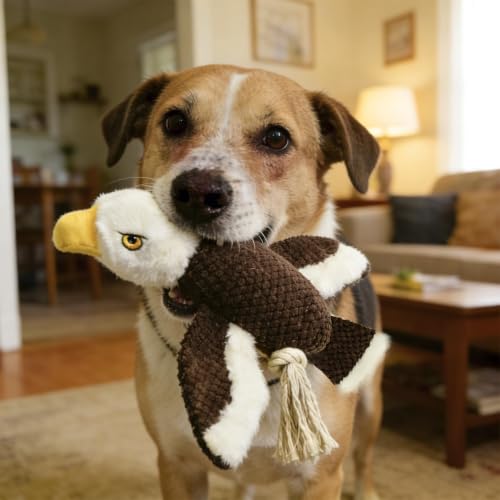 Dog Squeaky Toy Plush Bald Eagle Dog Chew Toy with Knotted Rope Tassels, Teething Interactive Tug Toy for Puppies & All Dog Breeds - color: Brown Bird