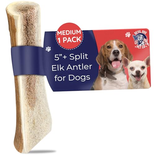 Devil Dog Pet Co Split Elk Antlers for Dogs, Medium, Long Lasting | Naturally shed Grade A elk antler split for marrow access, single ingredient, 7/10 hardness, 5 in+, fits breeds up to 40 lb - style: split - Medium - 1 Pack