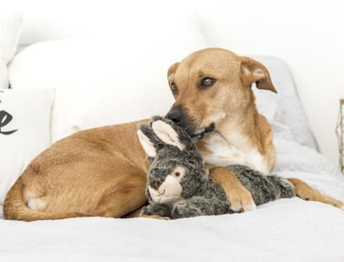 Fluff & Tuff Walter Wabbit Plush Dog Toy – 2 Pack, 12” Durable Stuffed Rabbit Dog Toy with Squeaker, Double-Stitched & Non-Toxic, Soft Yet Tough Plush for Dogs - size: 12 Inch (Pack of 2)