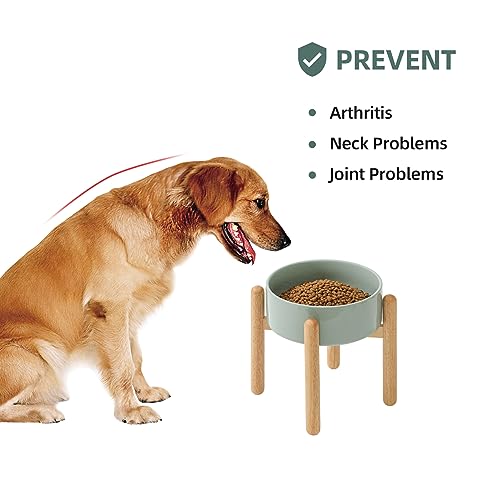 Havniva Elevated Dog Bowls Ceramic Dog Bowls with Stand, Dog Food Bowl | 8.3” Raised Dog Bowls with Non-Slip Wood Stand, Dog Food and Water Bowl Set, Dog Feeding Bowls for Large Dogs - color: Bowl+Stand - Light Green, size: 8.3inch