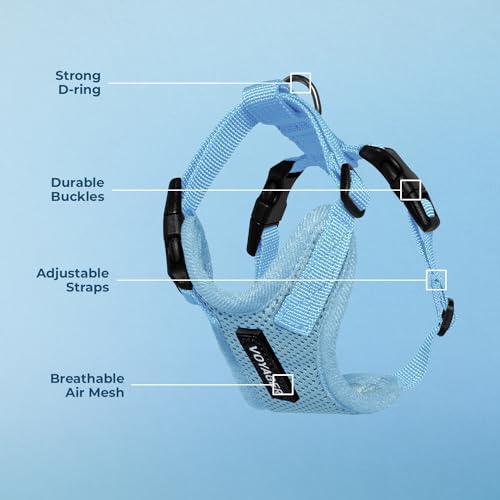 Voyager Step-in Lock Dog Harness - Baby Blue, X-Small | 13 - 16" in Chest, Adjustable, Breathable Air Mesh, Lightweight for Daily Walks, Strong Clips, Heavy Duty D-Ring - color: Harness (Baby Blue), size: XS (Chest: 13 - 16")