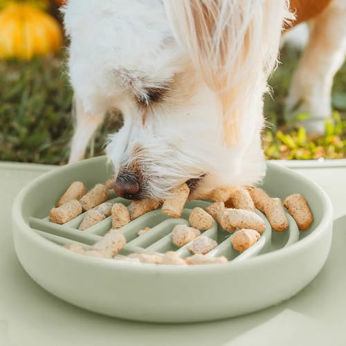 Slow Feeder Dog Bowls - Small Size Silicone Slow Eating Dog Bowl for Puppies & Dogs with Suction Cup -Dishwasher-Safe, Lick Mat Design, Reduces Gulping, for All Breeds, 6”x1.25”- Sage - color: Sage - Rainbow Design, size: Small (6” Across x 1.25” Tall)