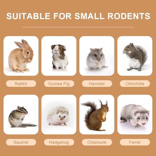 300g Guinea Pig & Rabbit Chew Toys with Apple & Timothy Sticks - Prevent Overgrown Teeth with Sweet Bamboo Treats - Ideal Rabbit Treats Included - color: 300g